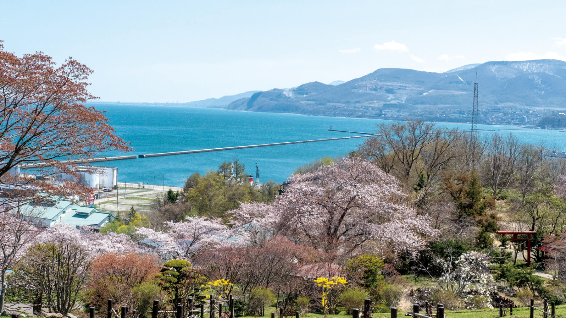 小樽港北防波堤の外観