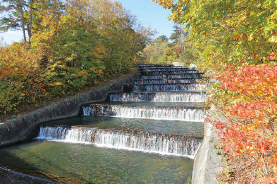 Stepped spillway