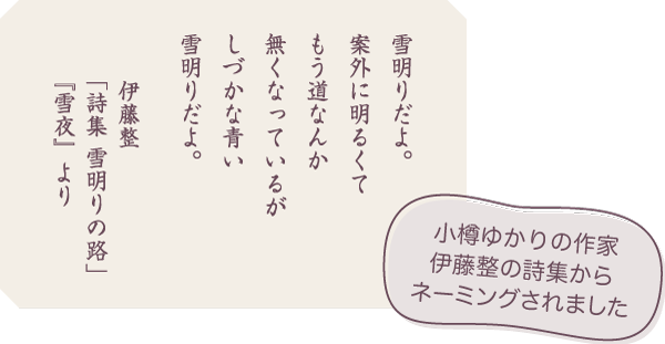 詩集 雪明りの路