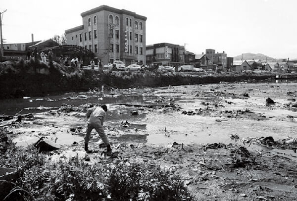 荒廃した運河を清掃する保存派市民