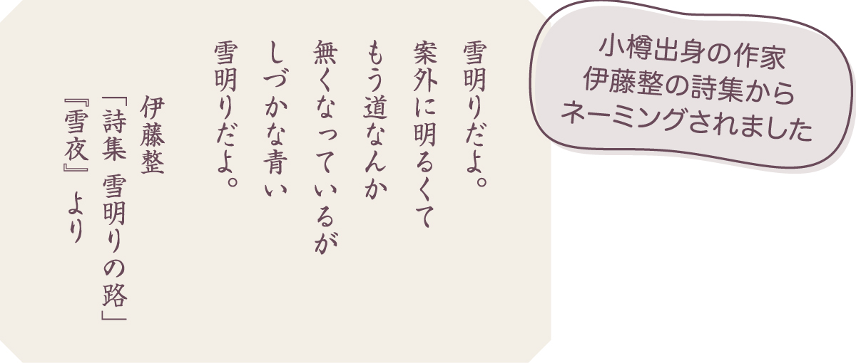 小樽雪あかりの路